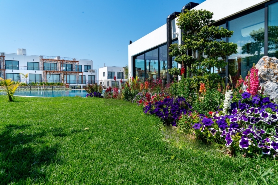 Many green spaces