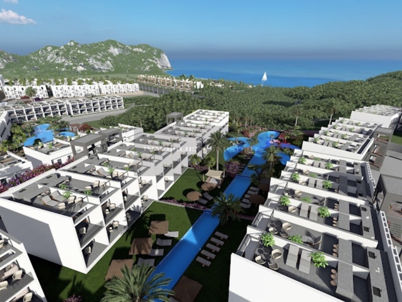 Penthouse or garden units