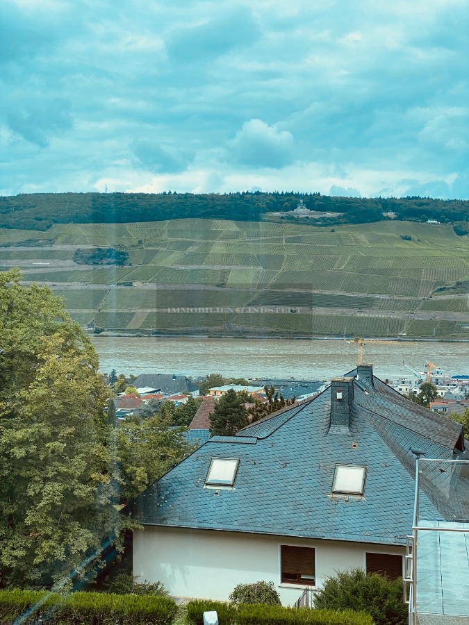 View of the Germania